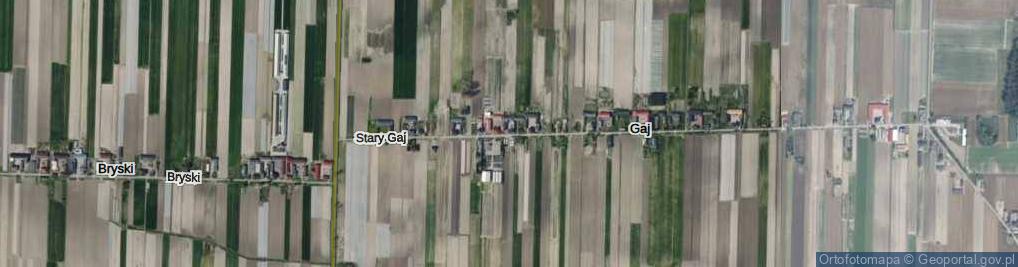 Zdjęcie satelitarne Stary Gaj ul.